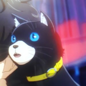 Meet your Posher, Carolyn